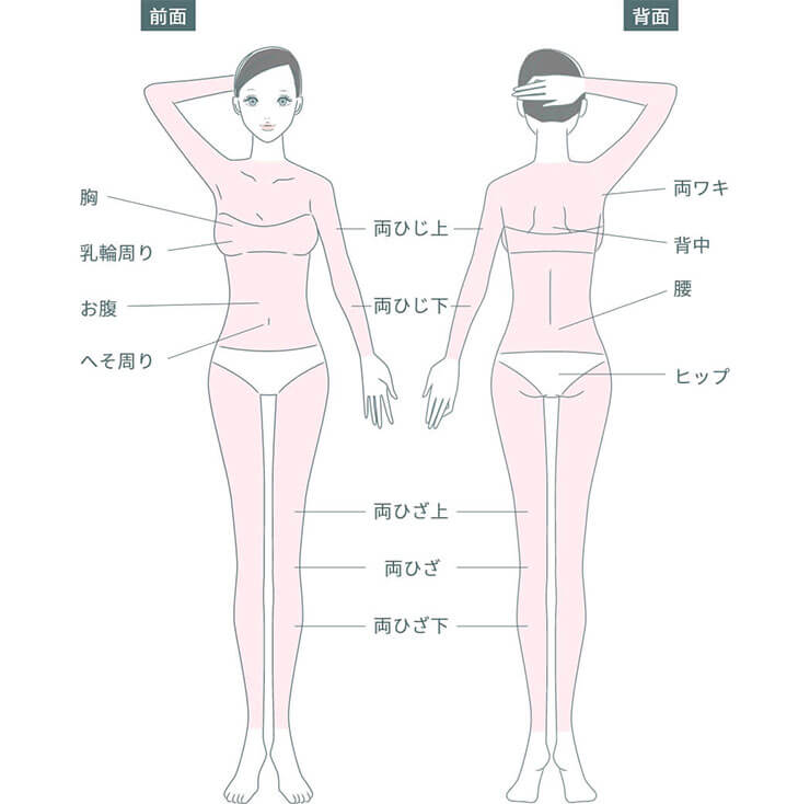カンナム美容外科の全身医療脱毛の施術範囲
